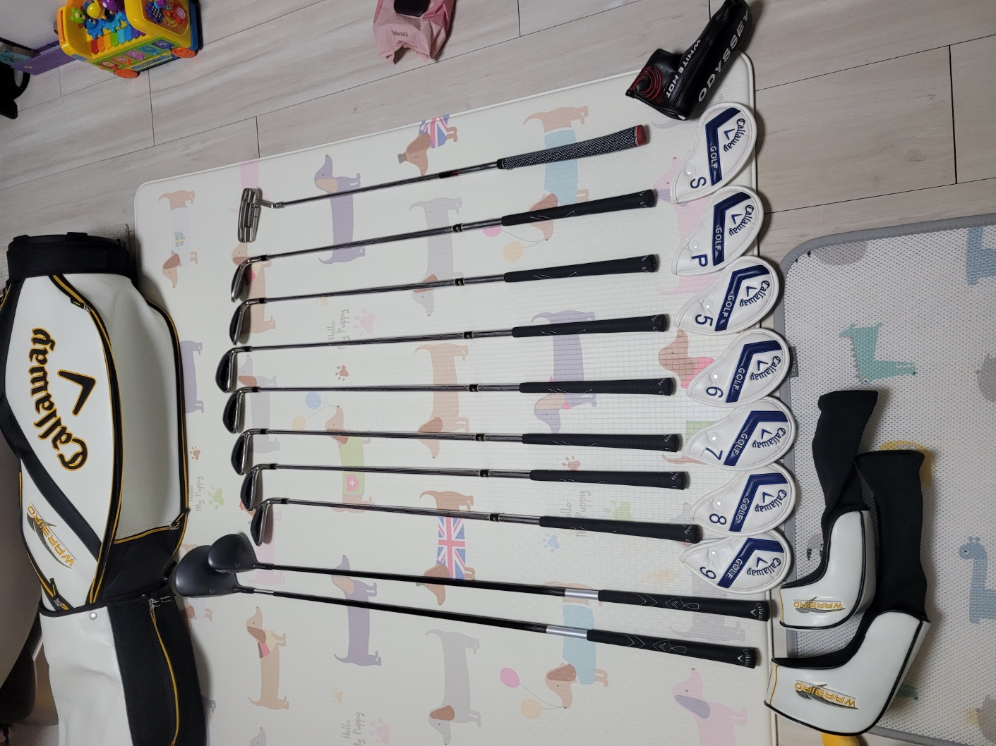 겔러웨이 가방및골프채