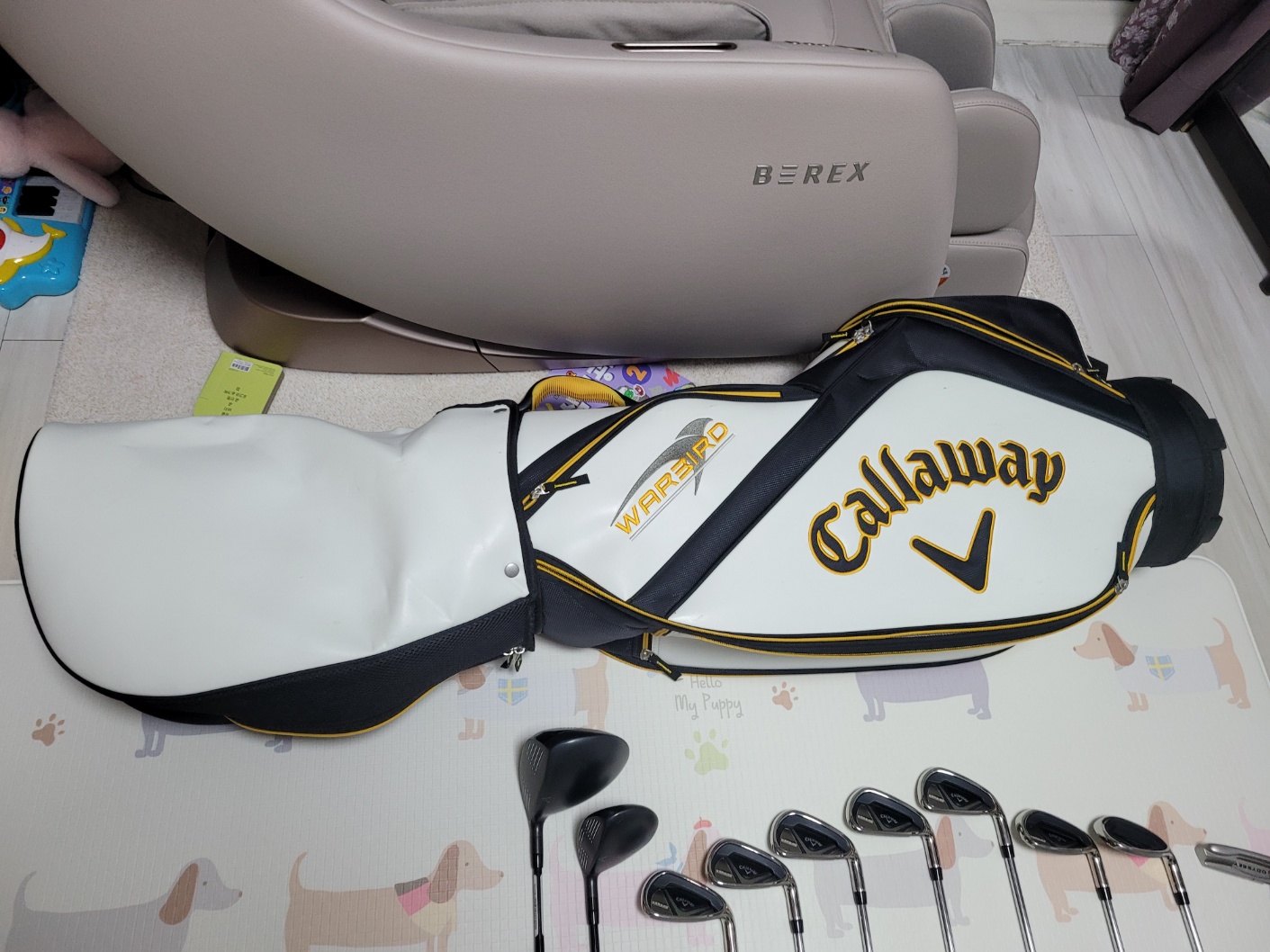 겔러웨이  가방및골프채